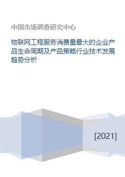 物聯(lián)網(wǎng)工程服務(wù)消費(fèi)量最大的企業(yè)產(chǎn)品生命周期及產(chǎn)品策略行業(yè)技術(shù)發(fā)展趨勢(shì)分析